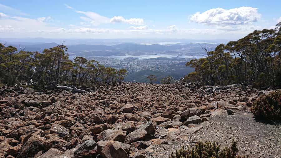 Kunanyi & Mt Wellington Explorer Bus: One-Way Bus Pass - Booking details worth knowing