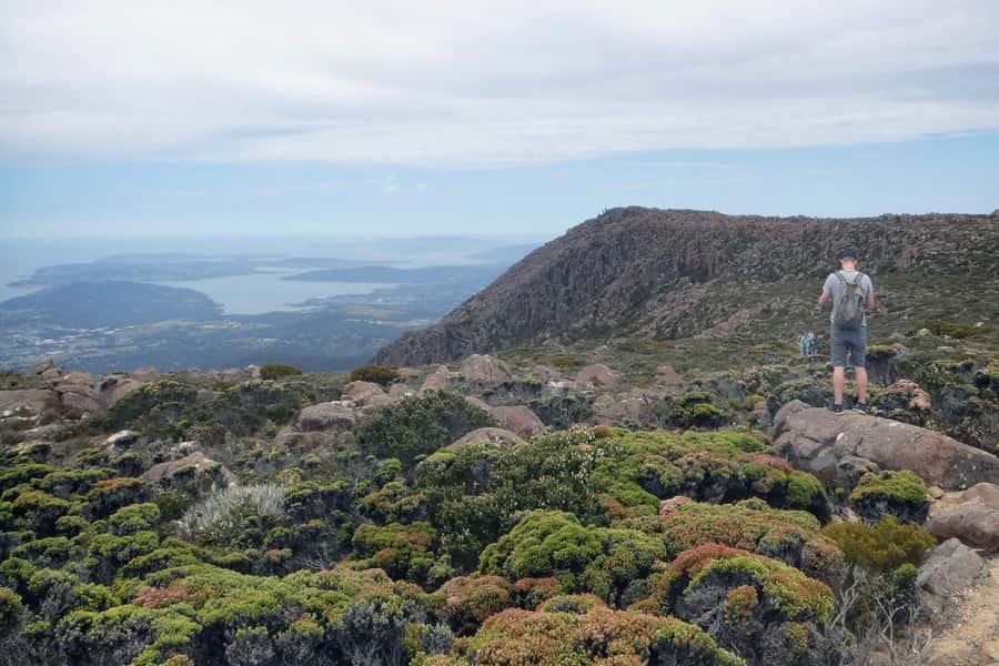 Kunanyi & Mt Wellington Explorer Bus: One-Way Bus Pass - The walk back: 13.6 kilometers and about three hours