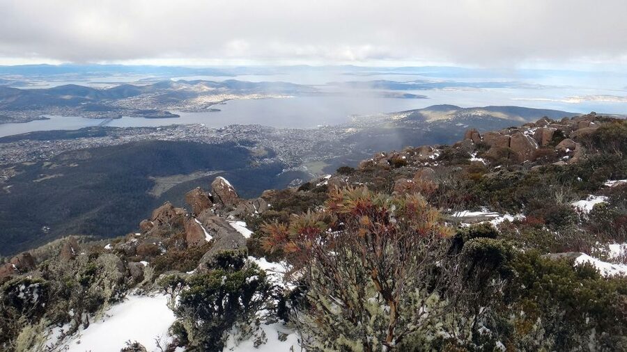 Kunanyi & Mt Wellington Explorer Bus: One-Way Bus Pass - Why the driver-guide matters