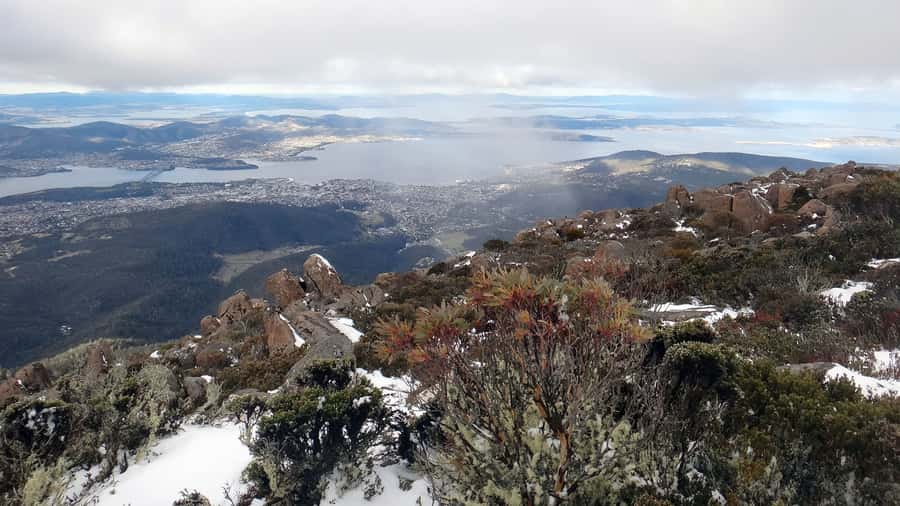 Kunanyi & Mt Wellington Explorer Bus: One-Way Bus Pass - Planning the day around changing conditions