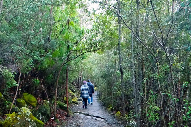 kunanyi/Mt Wellington Explorer Bus - One Way Tour - The smart way to reach a 1,270-metre summit