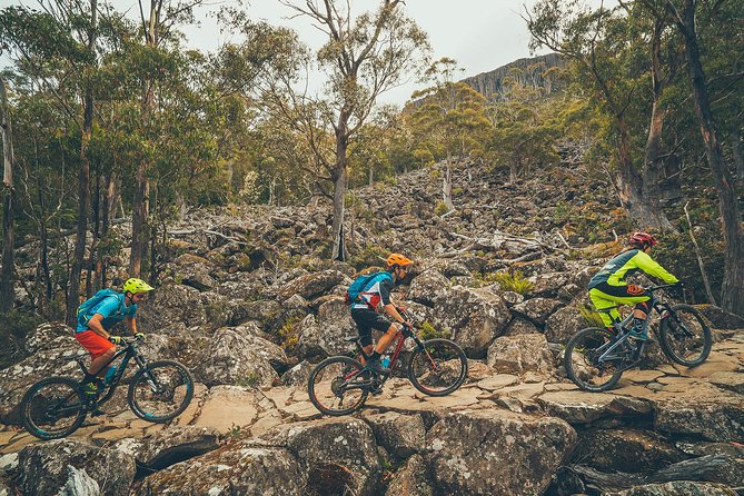 kunanyi/Mt Wellington Explorer Bus - One Way Tour - What you see on the climb to the Pinnacle