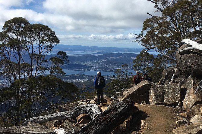 kunanyi/Mt Wellington Explorer Bus - One Way Tour - The value of the $21.52 fare
