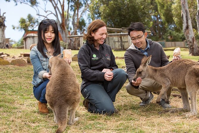 kunanyi/Mt Wellington Explorer Bus - One Way Tour - Timing your summit visit