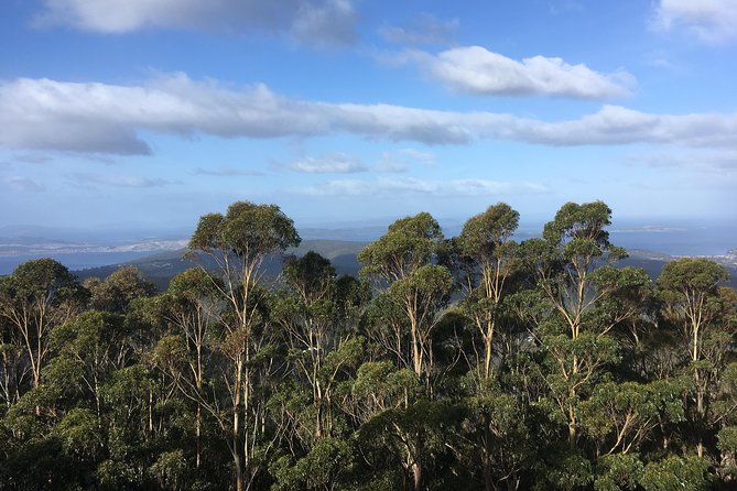 kunanyi/Mt Wellington Explorer Bus - One Way Tour - Who will enjoy this outing most