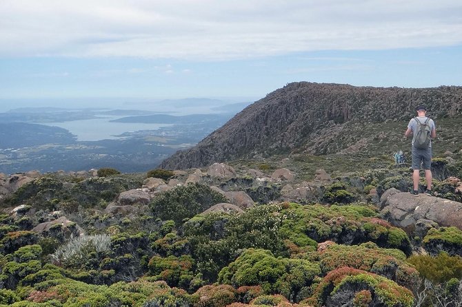 kunanyi/Mt Wellington Explorer Bus - One Way Tour - Choosing your way back down
