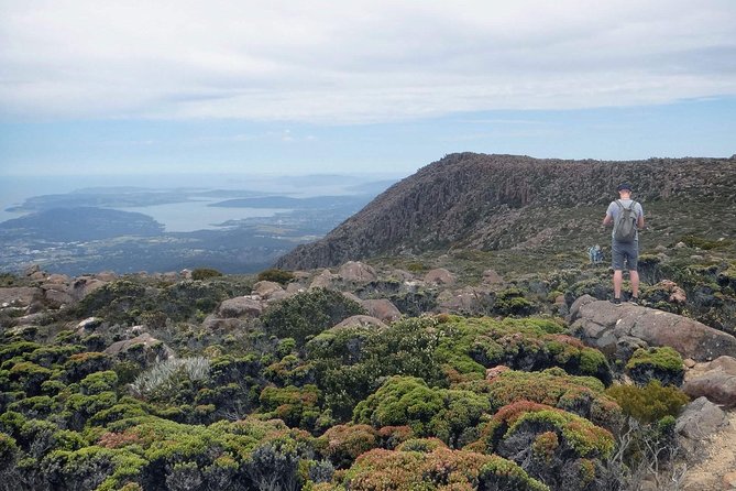 kunanyi/Mt Wellington Explorer Bus- Return Tour (2.5 hours) - Why this bus is the easiest way up from Hobart