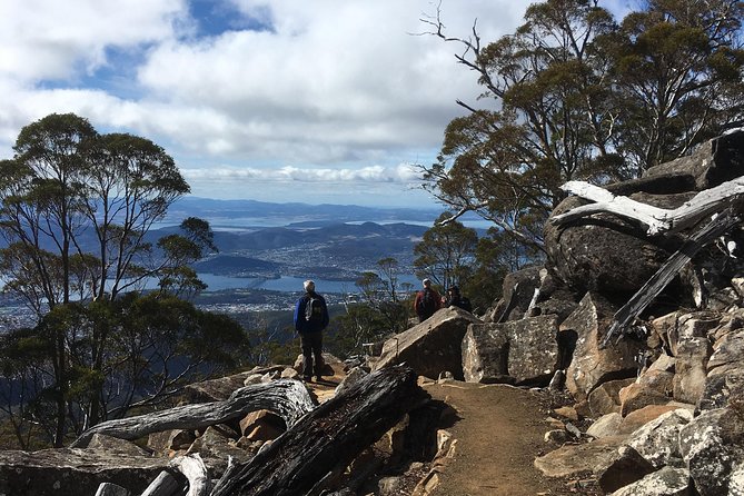 kunanyi/Mt Wellington Explorer Bus- Return Tour (2.5 hours) - The Springs: the best stop for a short walk