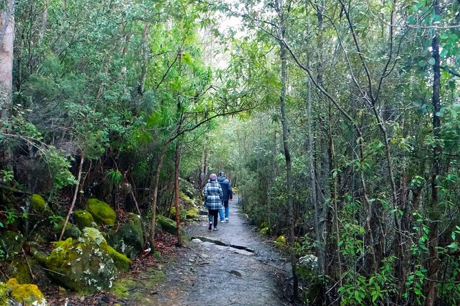 kunanyi/Mt Wellington Explorer Bus- Return Tour (2.5 hours) - The summit: dramatic views and a sharp change in weather
