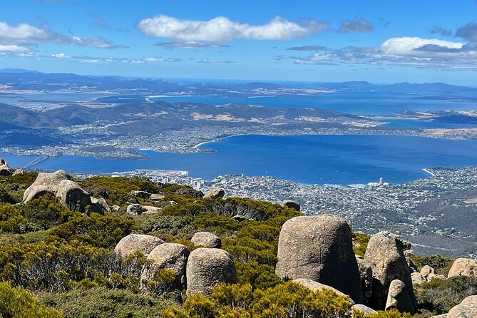 kunanyi/Mt Wellington Explorer Bus- Return Tour (2.5 hours) - What the guides add to the experience