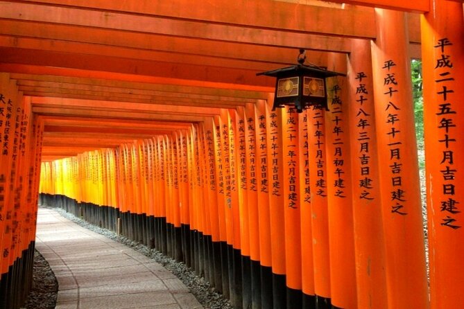 Kyoto 1 Day Golden Route Bus Tour - Arashiyama’s bamboo grove and Tenryu-ji