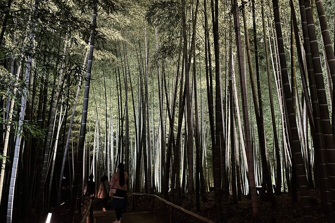 Kyoto 1 Day Golden Route Bus Tour - A short stop at Kyoto Handicraft Center