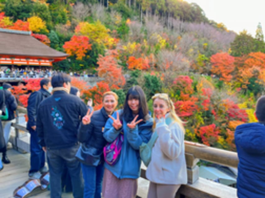 Kyoto: Fushimi Inari, Kinkakuji, Bamboo Grove 1 Day Bus Tour - The Bamboo Grove is short but memorable