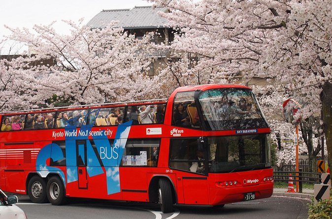 Kyoto Hop-On, Hop-Off Sightseeing Bus Tour - Price, passes, and what you receive