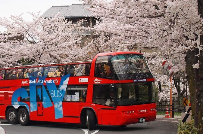 Kyoto Hop-On, Hop-Off Sightseeing Bus Tour - Should you book the SKY HOP BUS?