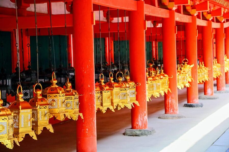 Kyoto: Nara & Traditional Matcha Experience Bus Tour - Transport, pace, and practical comfort