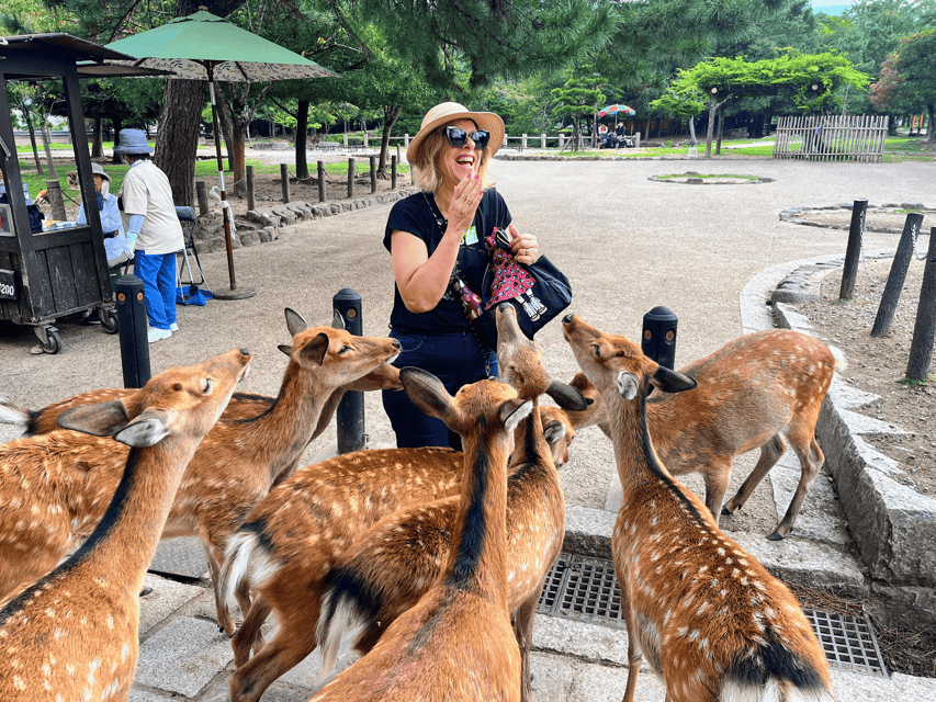Kyoto: Nara & Traditional Matcha Experience Bus Tour - Why this Nara and Uji pairing works