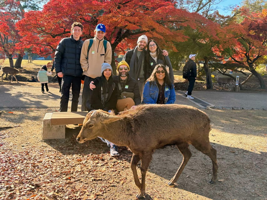 Kyoto: Nara & Traditional Matcha Experience Bus Tour - Kasuga Taisha and Nara’s lantern-lined paths