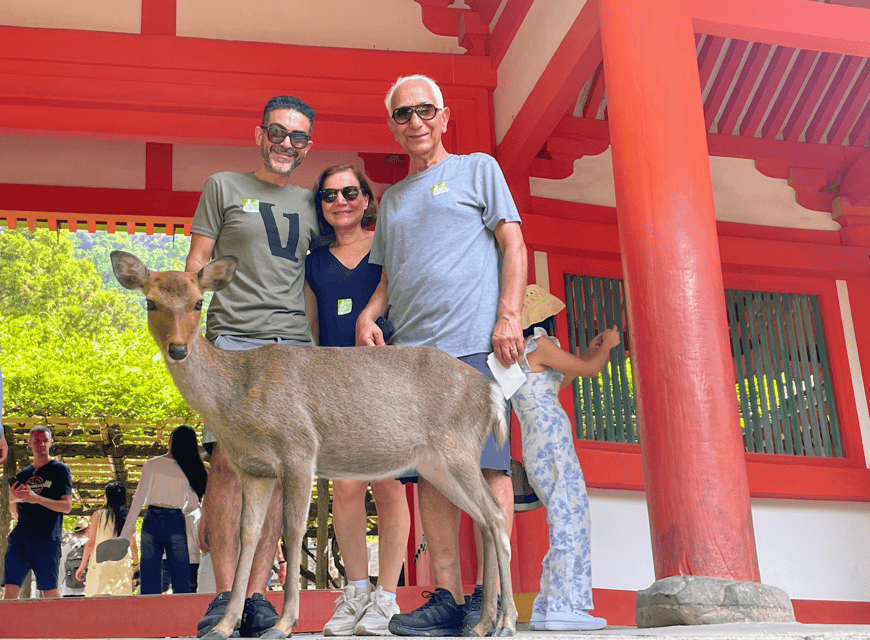 Kyoto: Nara & Traditional Matcha Experience Bus Tour - Meeting Nara’s deer in the park