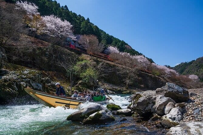 Kyoto Sagano Romantic Train in Arashiyama Bus Tour - Who should book this outing?
