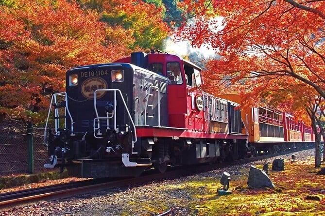 Kyoto Sagano Romantic Train in Arashiyama Bus Tour - Drifting through the Hozu River valley