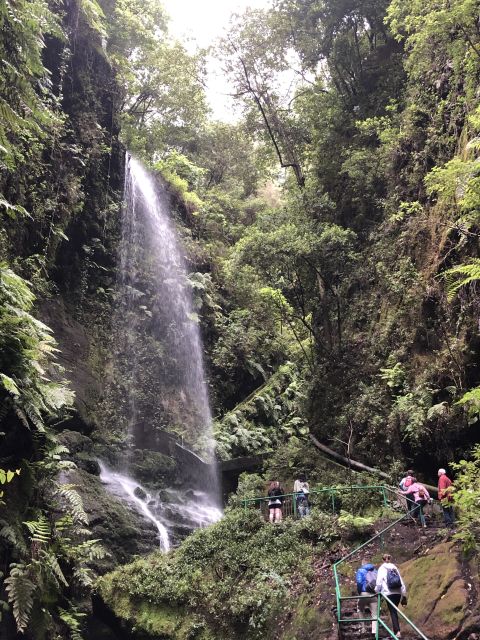 La Palma: North Island Bus Tour with Ron Aldea Distillery - Why northern La Palma deserves a full day