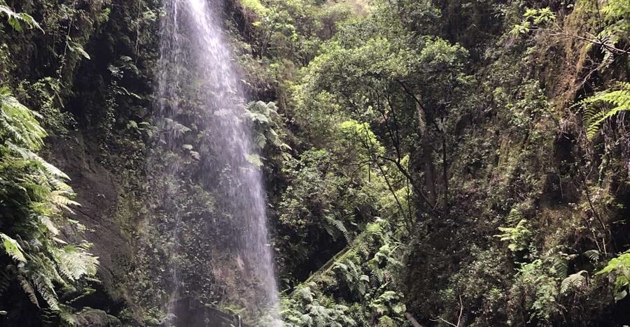 La Palma: North Island Bus Tour with Ron Aldea Distillery - Mirador de la Montaña and the view from mountain to sea