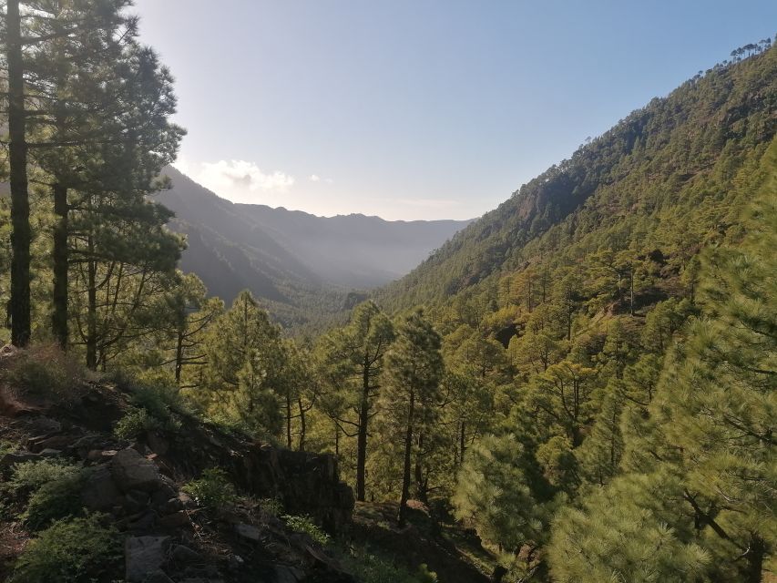 La Palma: San Antonio and Teneguia Volcanos Tour by 4x4 Bus - Tajogaite and the changed western side of La Palma