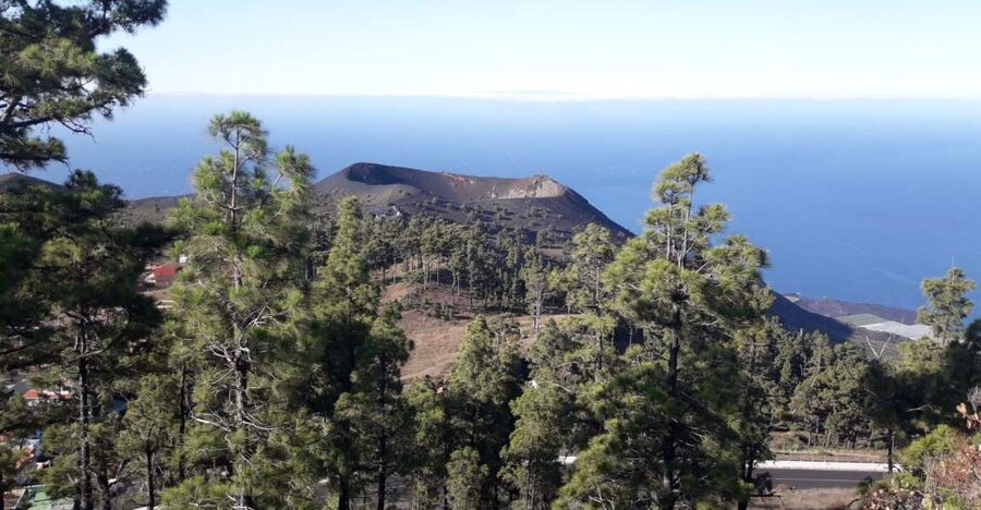 La Palma: San Antonio and Teneguia Volcanos Tour by 4x4 Bus - What the 4x4 bus is really like