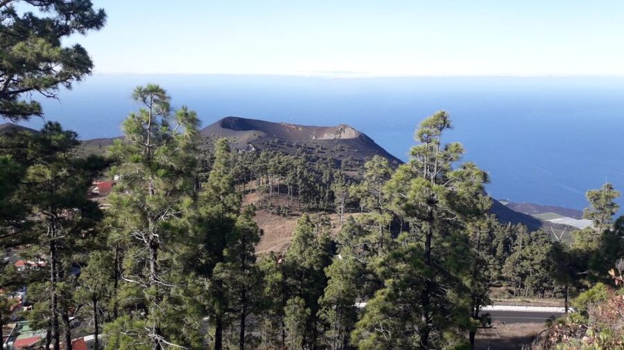 La Palma: San Antonio and Teneguia Volcanos Tour by 4x4 Bus - San Antonio and Teneguía: La Palma’s volcanic south in one view