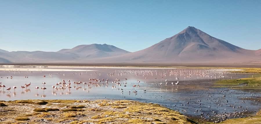 La Paz: 5-Day Uyuni Salt Flats by Bus - Day 4: Geysers, hot springs, and the green lagoon