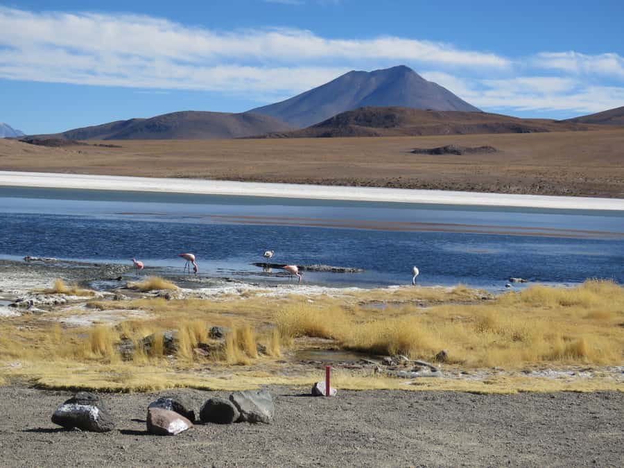La Paz: 5-Day Uyuni Salt Flats by Bus - Should you book this Uyuni trip from La Paz?