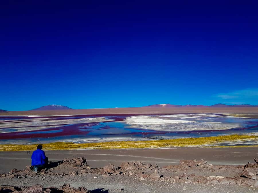 La Paz: Uyuni Salt Flats & Isla Incahuasi 5-Day Bus Tour - Making the famous salt-flat photos