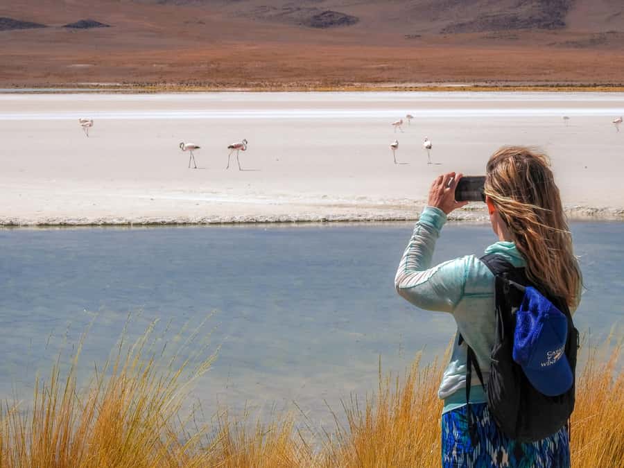 La Paz: Uyuni Salt Flats & Isla Incahuasi 5-Day Bus Tour - Day two: caves, desert, lagoons, and flamingos