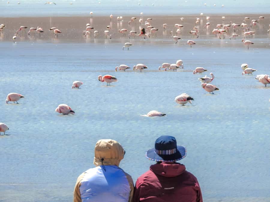 La Paz: Uyuni Salt Flats & Isla Incahuasi 5-Day Bus Tour - Food, rooms, and the small-group setup