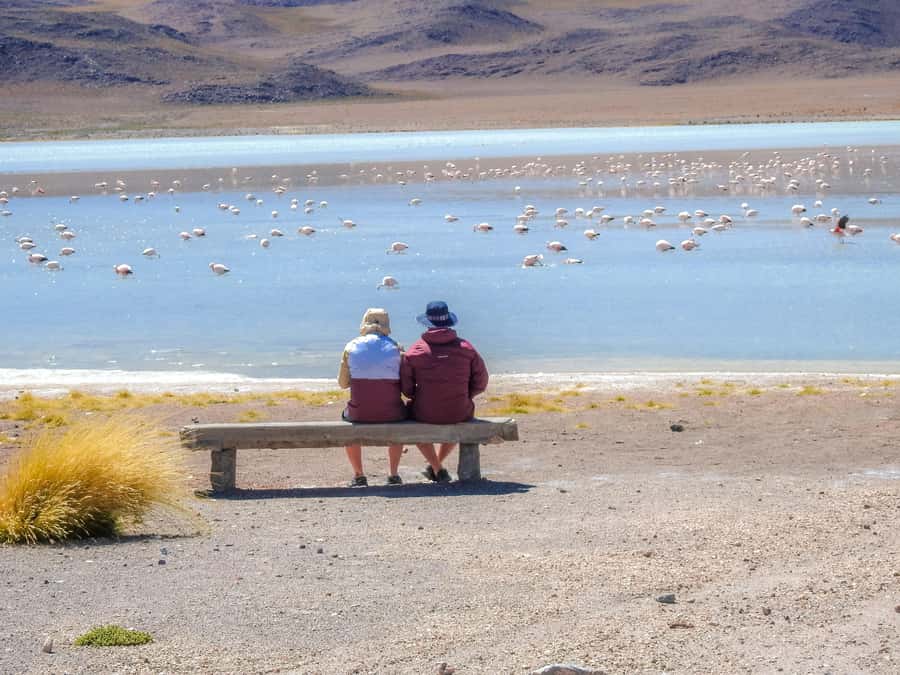 La Paz: Uyuni Salt Flats & Isla Incahuasi 5-Day Bus Tour - Who should book this route