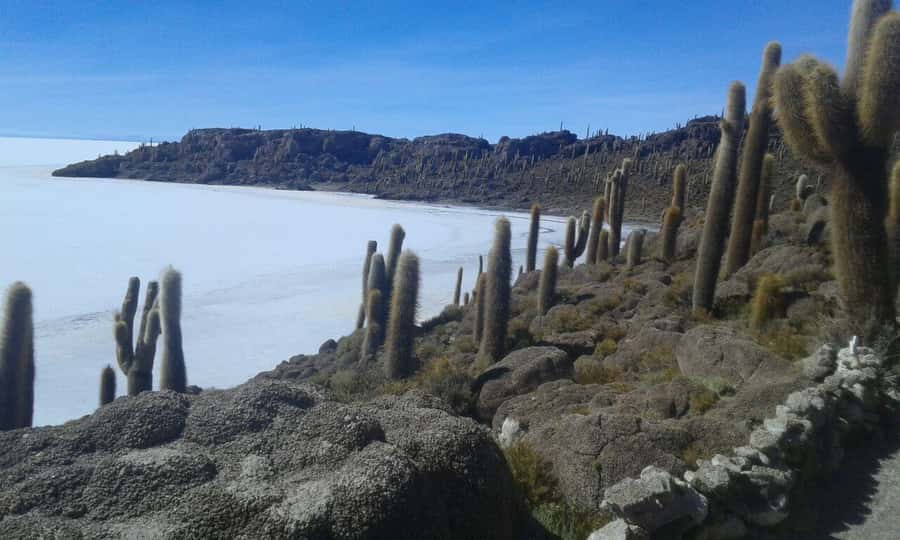 La Paz: Uyuni tour ending in Atacama Chile by bus. - What the $529 price really covers
