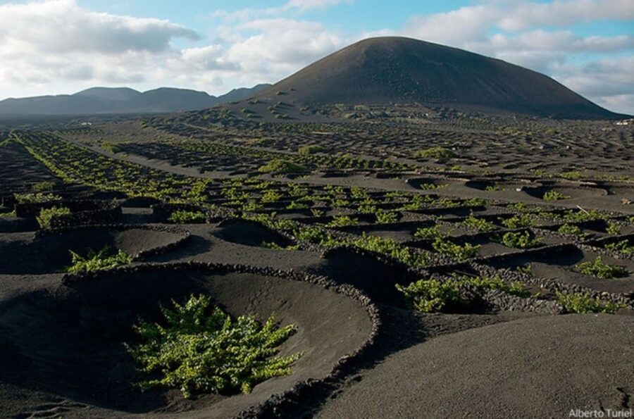 Lanzarote: Full Day Bus Tour with Scenic Views - Why this Lanzarote bus tour works