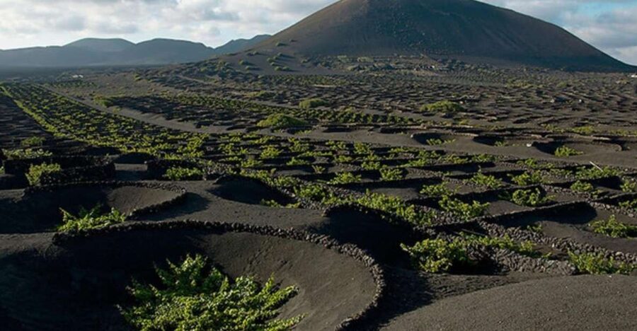 Lanzarote: Full Day Bus Tour with Scenic Views - Pickup from Playa Blanca and the resort towns