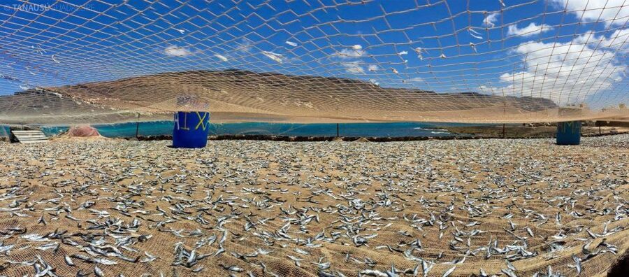 Lanzarote: Return Ferry to La Graciosa with Bus Pickup - Lunch and the cost of free time