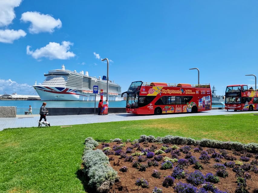 Las Palmas: City Sightseeing Hop-On Hop-Off Bus Tour - Teatro Pérez Galdós and San Telmo