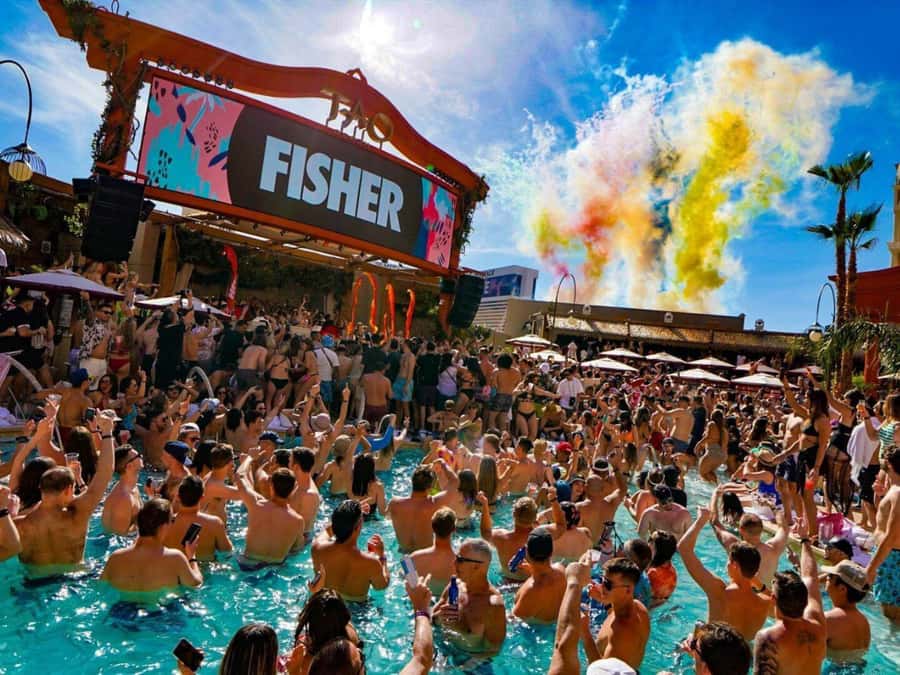 Las Vegas: Famous Pool Party Tour with Party Bus & Drinks - Who should book this experience