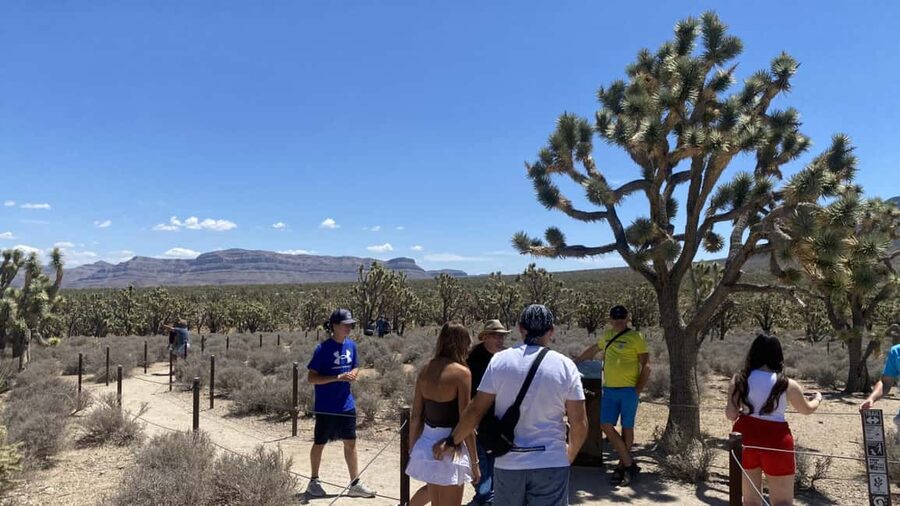Las Vegas: Grand Canyon Helicopter & Ranch Adventure by Bus - From Las Vegas to the Hoover Dam viewpoint
