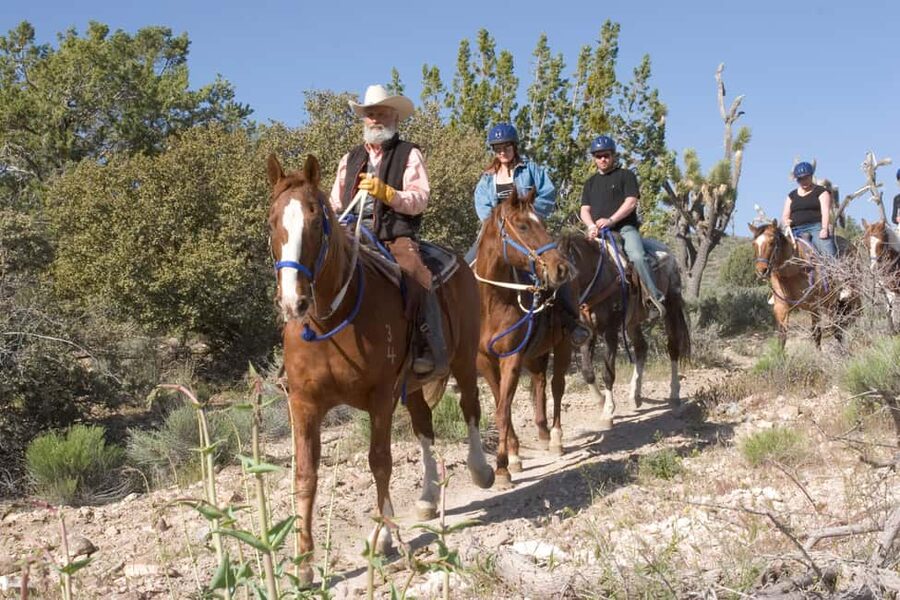 Las Vegas: Grand Canyon Helicopter & Ranch Adventure by Bus - Guides, group size, and the feel of the day