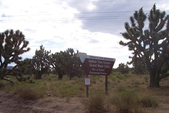 Las Vegas: Grand Canyon West Rim Bus Tour with Skywalk - Lunch keeps a long day moving