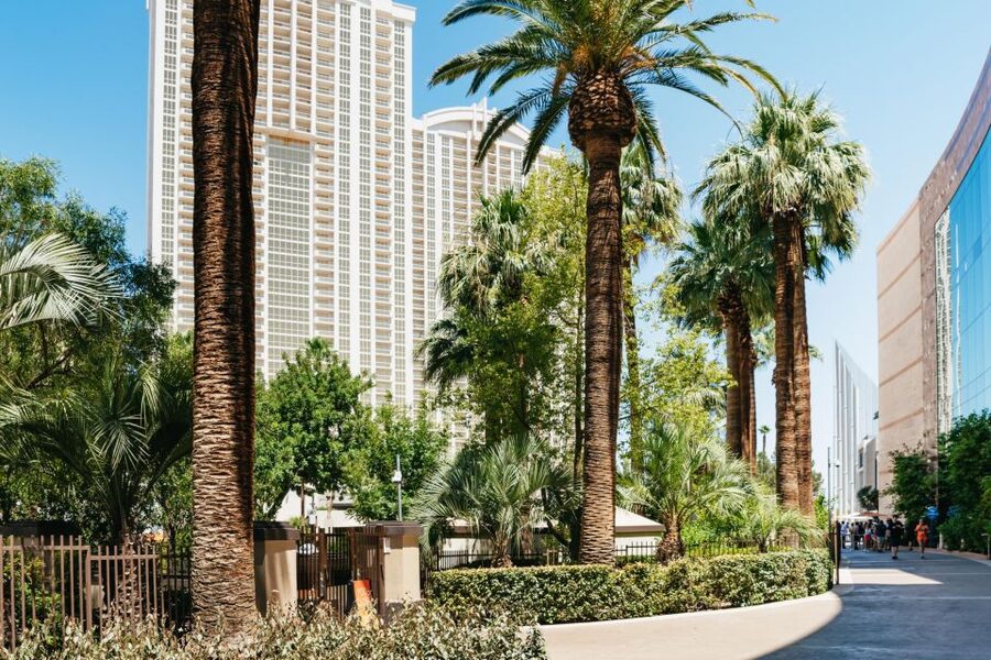 Las Vegas Strip: 3-Stop Pool Party Crawl with Party Bus - Dress, ID, and bag rules matter
