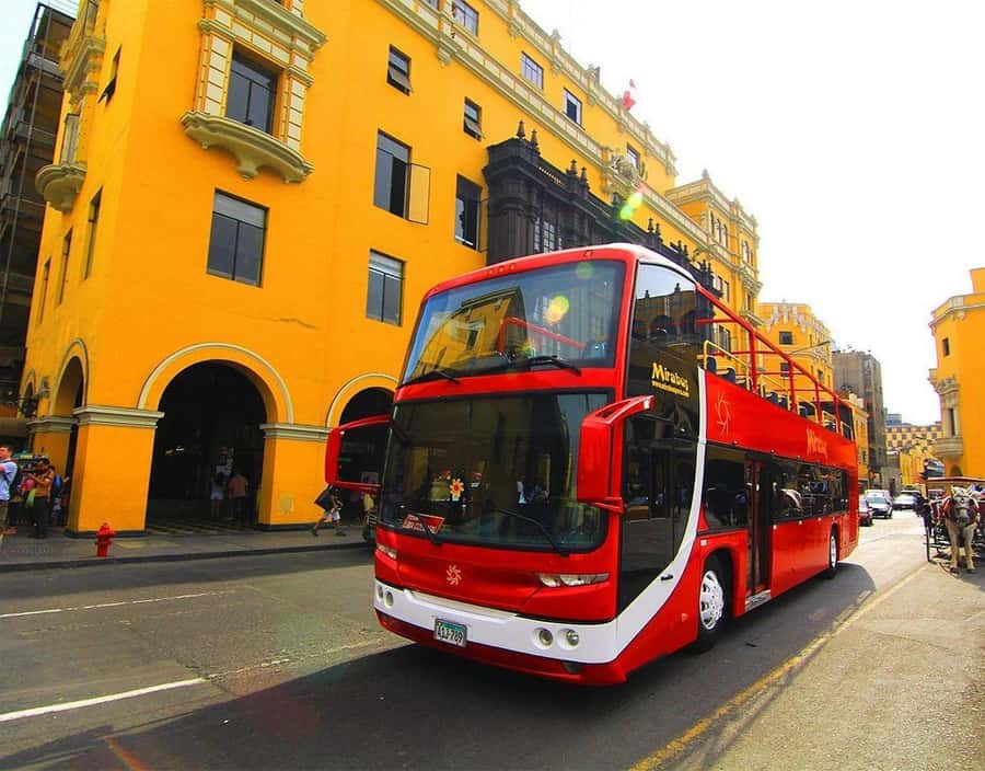 Lima : City Tour by Panoramic Bus - Walking & Catacombs - Walking Into the Historic Center