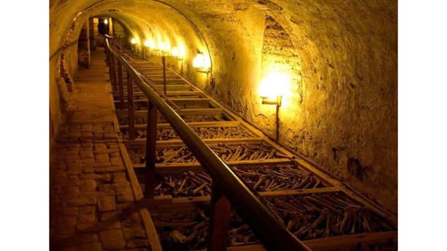 LIMA WALKING TOUR CATACOMBS FROM MIRAFLORES, HISTORICAL CENTER, WINES+BUS - Why this tour works well for first-time Lima visitors