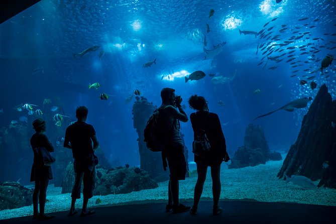 Lisbon Hop-On Hop-Off Bus and Boat Tour with Oceanário Ticket - Key points to know before you book