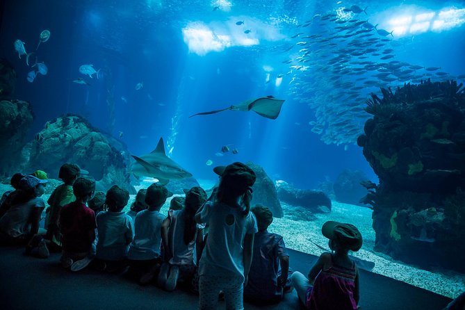 Lisbon Hop-On Hop-Off Bus and Boat Tour with Oceanário Ticket - What the Lisbon pass actually covers